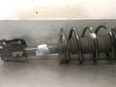 Amortiguador delantero con muelle espiral