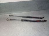 Tailgate/trunk strut/damper