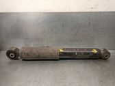 Rear shock absorber/damper
