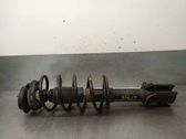 Amortiguador delantero con muelle espiral
