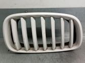 Kühlergrill