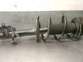 Amortiguador delantero con muelle espiral