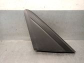 Dashboard trim