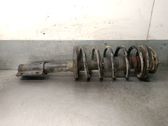 Amortiguador delantero con muelle espiral