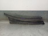 Windshield trim