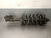Amortiguador delantero con muelle espiral
