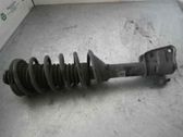 Rear shock absorber/damper