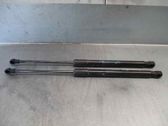 Tailgate/trunk strut/damper