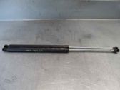Tailgate/trunk strut/damper