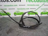 Faisceau de câblage pour moteur