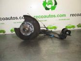 Rear wheel hub spindle/knuckle
