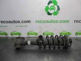 Rear shock absorber/damper