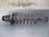 Rear shock absorber/damper