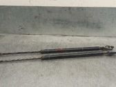 Tailgate/trunk strut/damper