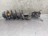 Front shock absorber with coil spring