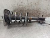 Front shock absorber with coil spring