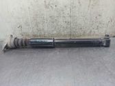 Rear shock absorber/damper
