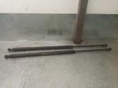 Tailgate/trunk strut/damper