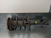 Front shock absorber with coil spring
