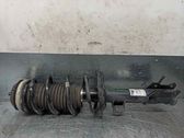 Amortiguador delantero con muelle espiral
