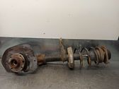 Front shock absorber with coil spring