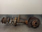Front shock absorber with coil spring