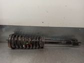 Front shock absorber with coil spring