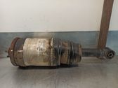 Stoßdämpfer hinten