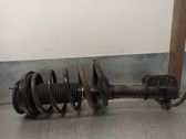 Amortiguador delantero con muelle espiral