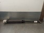 Stoßdämpfer hinten