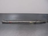 Muffler/silencer