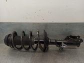 Front shock absorber with coil spring