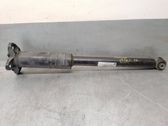 Rear shock absorber/damper