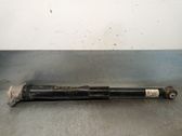 Rear shock absorber/damper