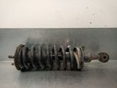 Stoßdämpfer hinten
