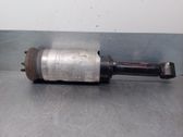 Front shock absorber with coil spring