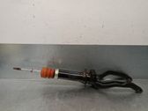 Front shock absorber with coil spring