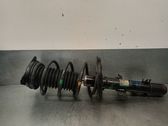 Amortiguador delantero con muelle espiral