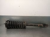Front shock absorber with coil spring