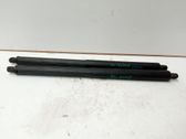 Tailgate/trunk strut/damper