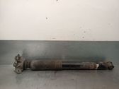 Rear shock absorber/damper