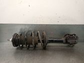 Amortiguador delantero con muelle espiral