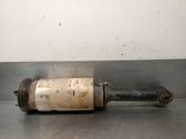 Front shock absorber with coil spring