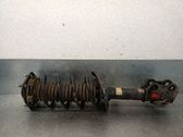 Amortiguador delantero con muelle espiral
