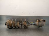 Rear shock absorber/damper