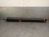 Rear shock absorber/damper