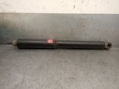 Rear shock absorber/damper