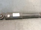 Rear shock absorber/damper