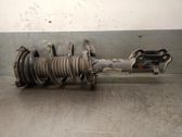 Amortiguador delantero con muelle espiral