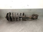 Front shock absorber with coil spring